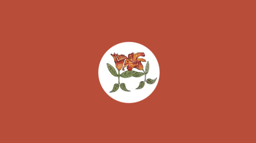 大连萱草咨询小程序定制开发